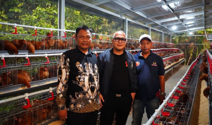 Dorong Ekonomi Rakyat, Arif Rahman Salurkan Bantuan Bibit Ayam Petelur di Banten